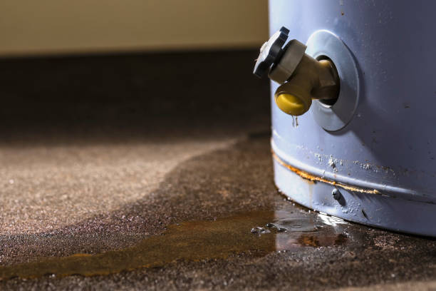 Best Water damage contractors near me  in Centerville, IN