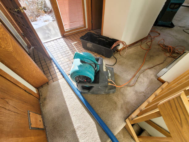 Best Carpet water damage restoration  in Centerville, IN