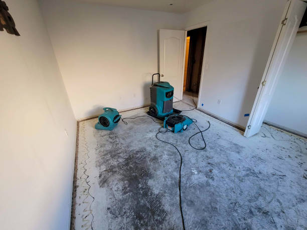 Best Mold removal after water damage  in Centerville, IN