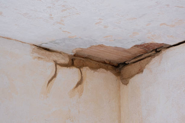Best Carpet water damage restoration  in Centerville, IN