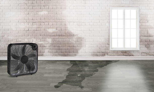 Best Commercial water damage restoration  in Centerville, IN