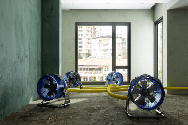 Best Ceiling water damage repair  in Centerville, IN